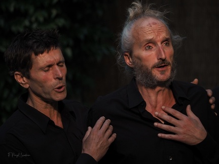 La déclaration des voix de l'homme - Acrobaties vocales improvisées