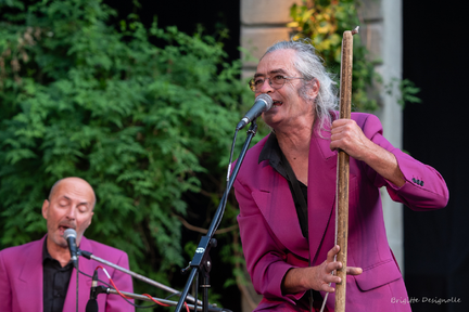 Le bal de Denis Gaud